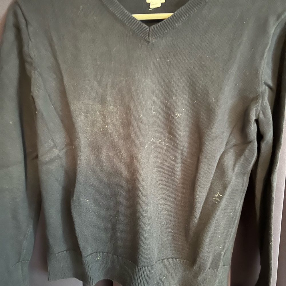 Gap v neck sweater